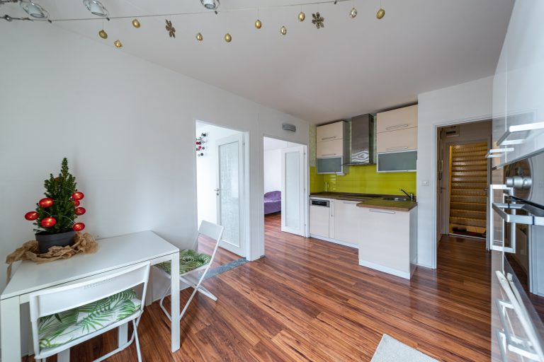 Rent, apartment 2+1, Prague 8